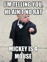 /baby_godfather/mickey_rat.jpg