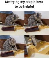 /cats/being.helpful