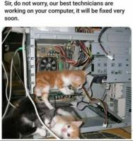 /cats/best.technicians