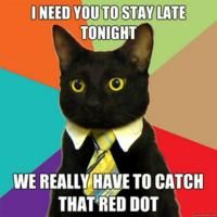 /cats/boss_cat_red_dot.jpeg