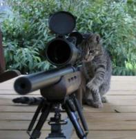 /cats/sniper.cat