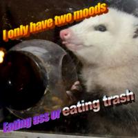/eating_ass/eating_trash.jpg