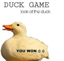 /honk/duck.game