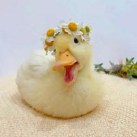 /honk/flower.duck