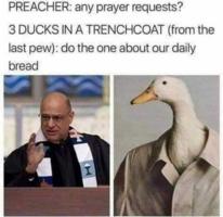 /honk/prayer.request