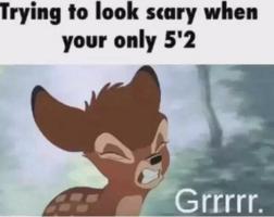 /jim/bambi.jpg