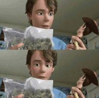 /ken/toy.story.weed