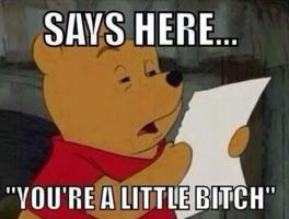 /pooh/youre_a_little_bitch.jpg
