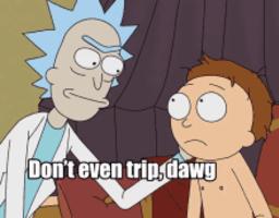 /rick-and-morty/dont.even.trip