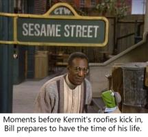 /sesame_street/kermit.roofies