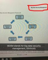 /shems/big.data.security.management
