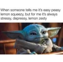 /shems/lemon.zesty